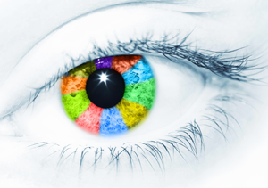 Vision